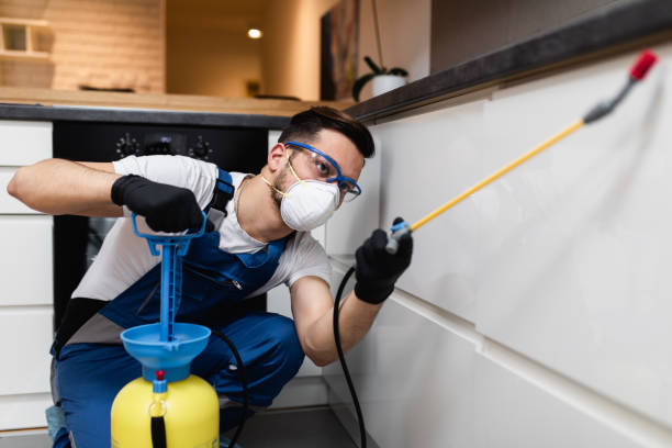 Pest Prevention Services in Collinsville, VA