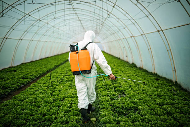 Best Mosquito Control Services  in Collinsville, VA