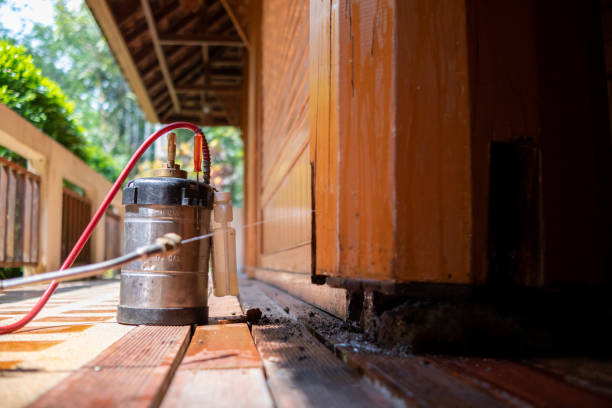 Best Termite Control Services  in Collinsville, VA