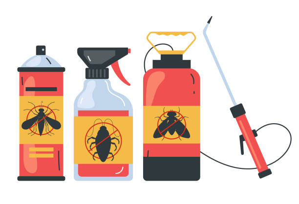 Trusted Collinsville, VA Pest Control Experts