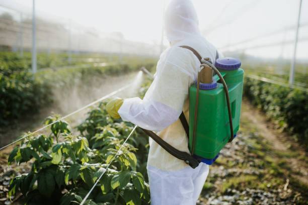  Collinsville, VA Pest Control Pros